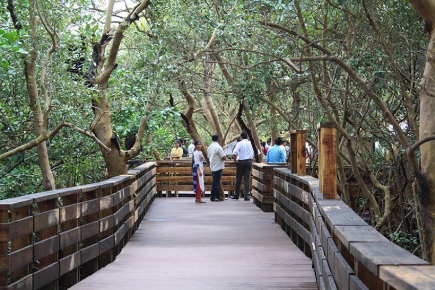 Photo by Mangrove Boardwalk Panaji/Facebook