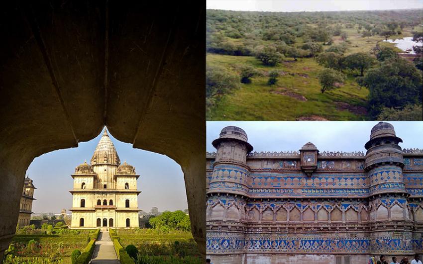 An itinerary that takes you on a trail of architectural gems of Madhya Pradesh along with a national park  