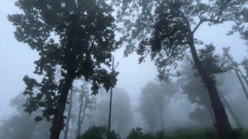 Jharkhand's Best Kept Secret! Anand Mahindra Recommends This Scenic Hill Station