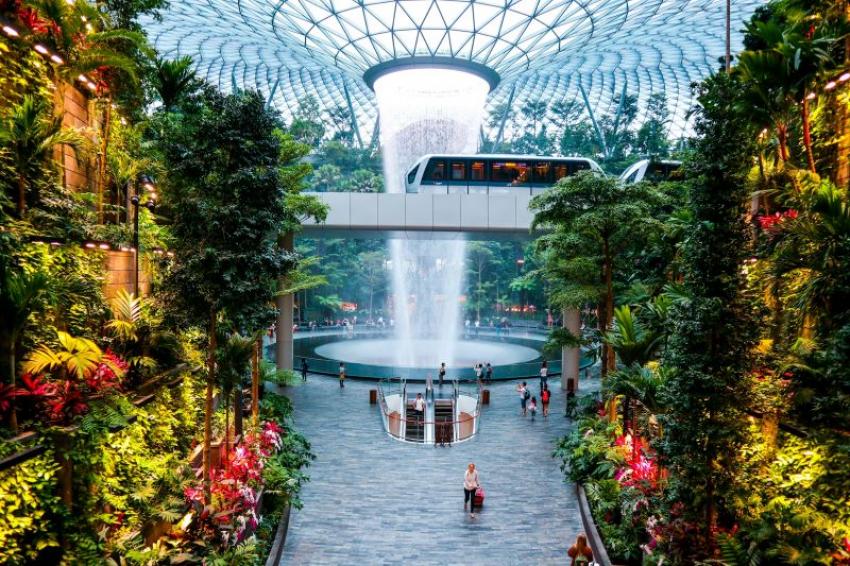 Butterfly Garden inside the airport. Photo: Unsplash