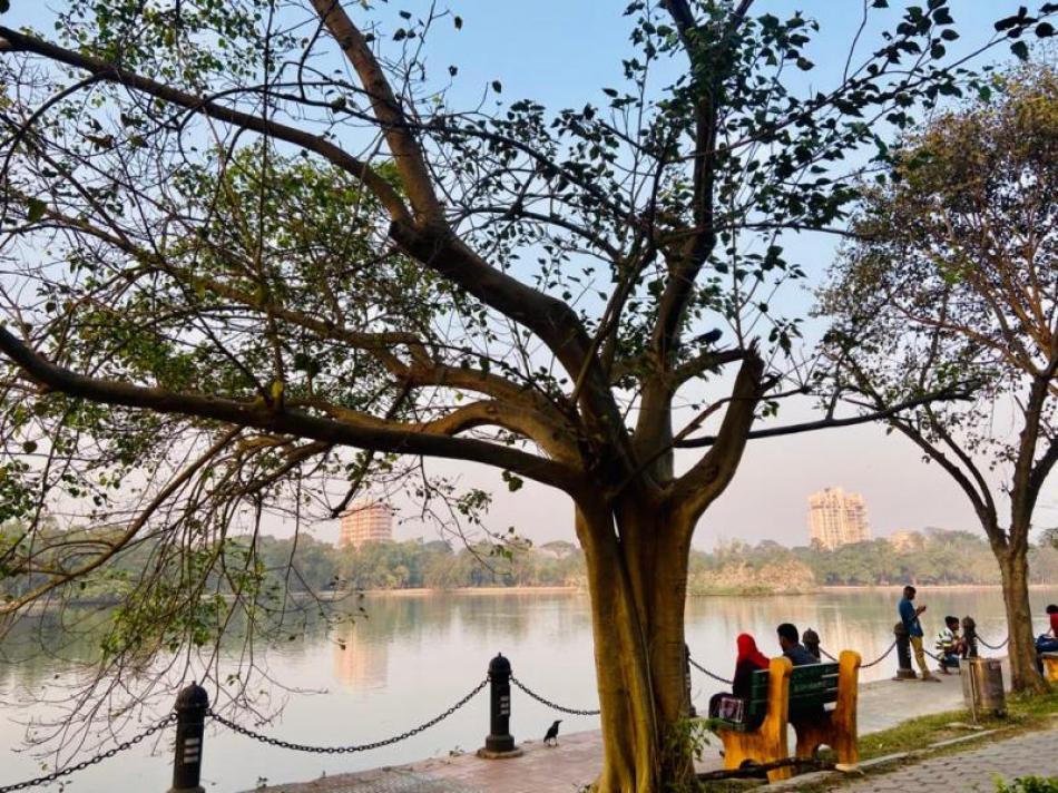 Images of the Day : Kolkata’s green oasis on a winter evening