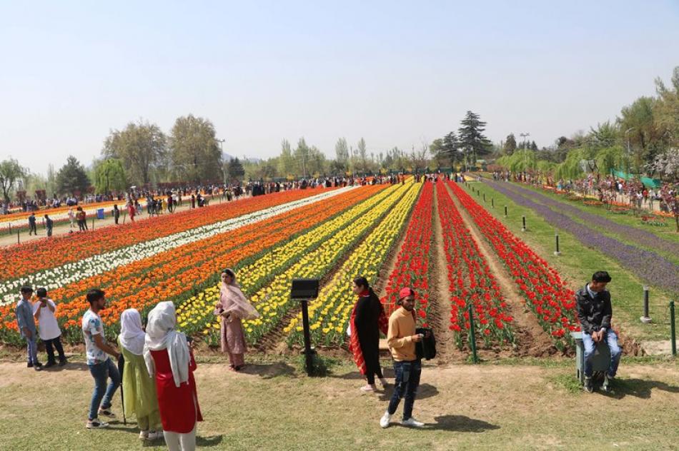 Visitors take selfies at Asia' largest tulip garde ...