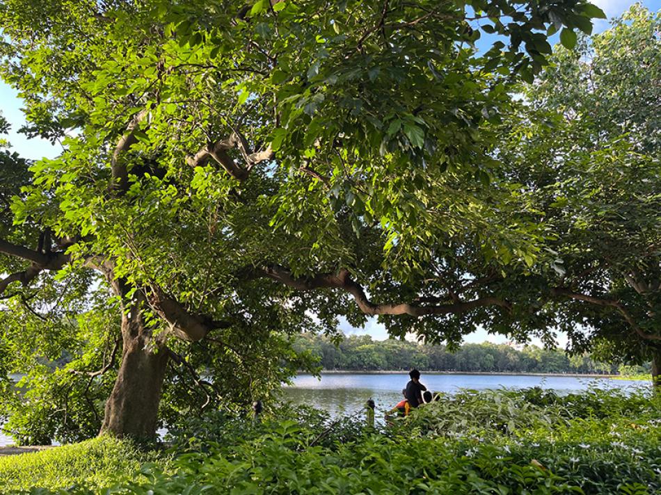 Kolkata’s Rabindra Sarobar Lake is a green oasis   