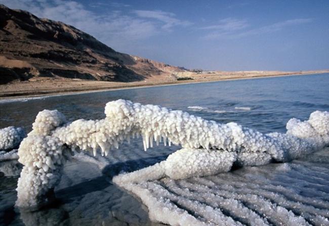 The Dead Sea