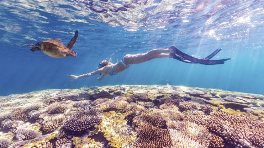 Snorkelling in Australian waters opens up an array of underwater treasures