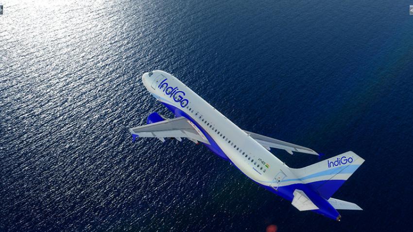 IndiGo scales up international operations, lines up 174 weekly flights