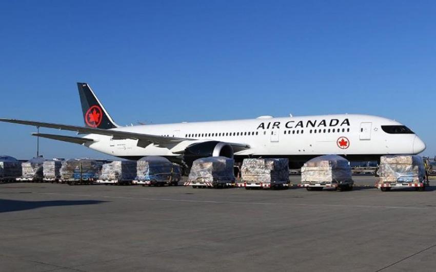 Air Canada flights remain grounded as Canadian government intervenes to end cabin crew's strike