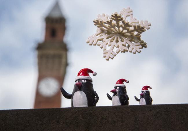 University of Birmingham academics creates festive family of penguins with 3D laser printers