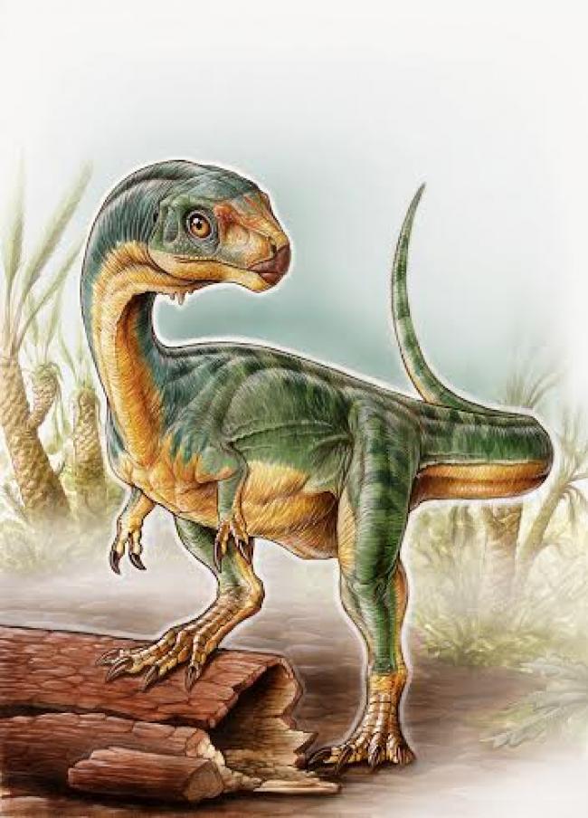 Bizarre ‘platypus’ dinosaur discovered