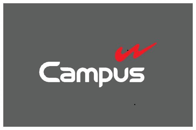 Sports Shoes Brand Campus Chooses Actors Varun Dhawan And Aisha Sharma As Brand Ambassadors Notintown