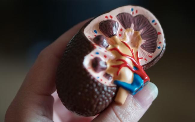 Detect Early, Protect Kidney Health