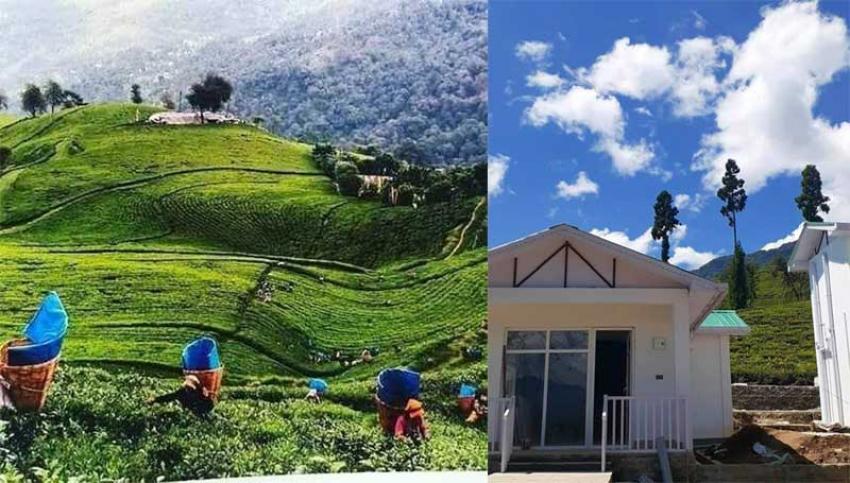 Eco Adventure Resorts  opens at Bada Bungalow Temi Tea Gardens in Sikkim