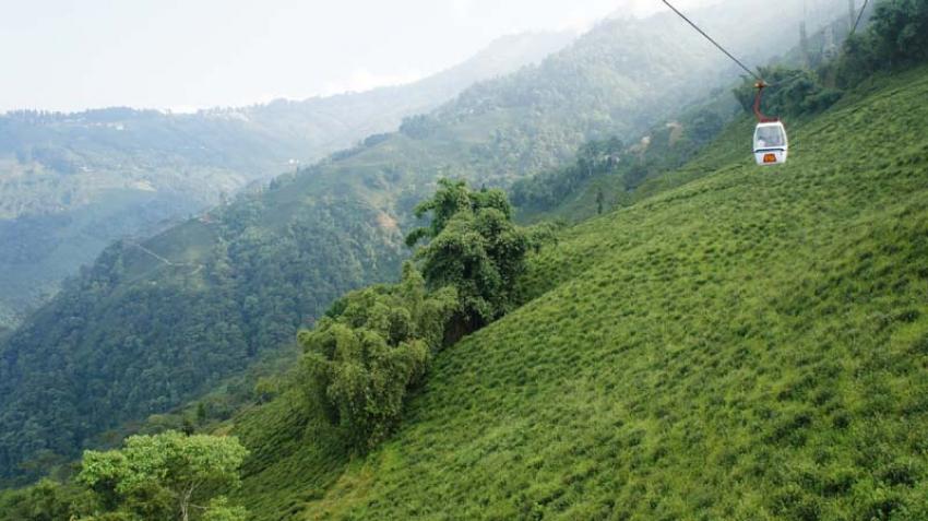 Chill out at these five tea estates in West Bengal this summer