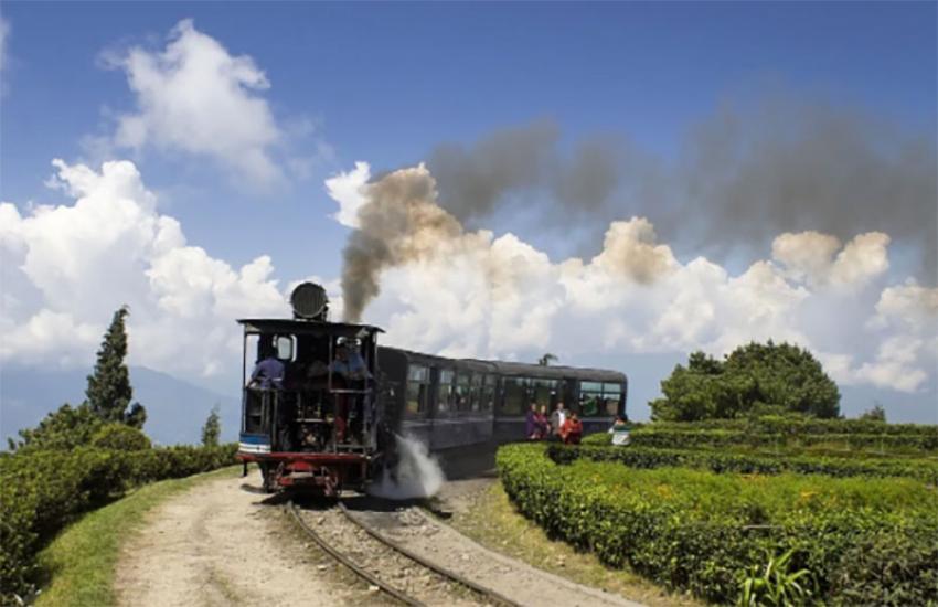 Enjoy Jungle Tea Toy-Train Safari on the world famous DHR