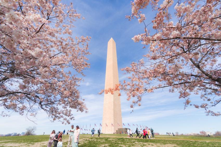 Washington D.C. announces plans for year-long celebration of historic milestone in 2026