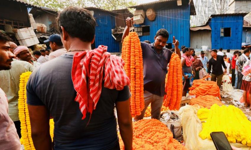 Petals and Pillars &ndash; Mullick Ghat Photo Walk in Kolkata: Book Your Spot to Explore the City&rsquo;s Flower Market and Riverfront