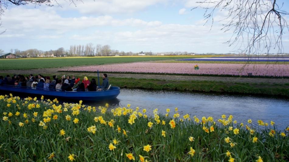 Keukenhof/Holland: World's best spring garden
