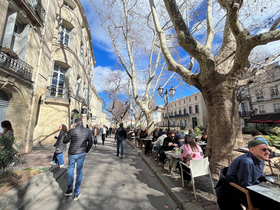 Montpellier: The southern France city basking in M ...